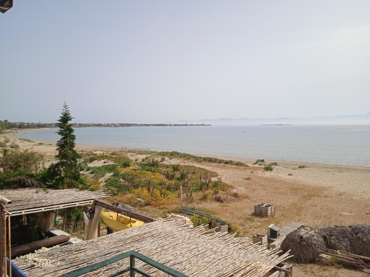 Apartment On The Beach Artemida  Exterior photo